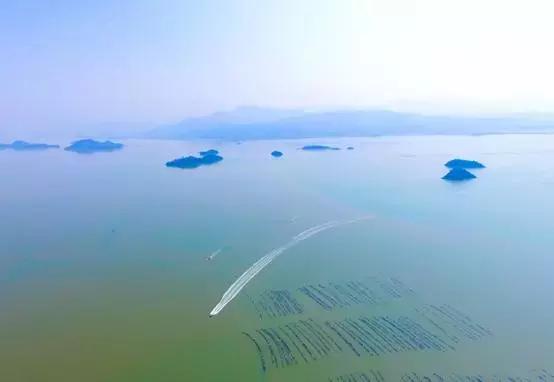 时代浪潮下的捕鱼游戏变迁，最新捕鱼游戏下载推荐