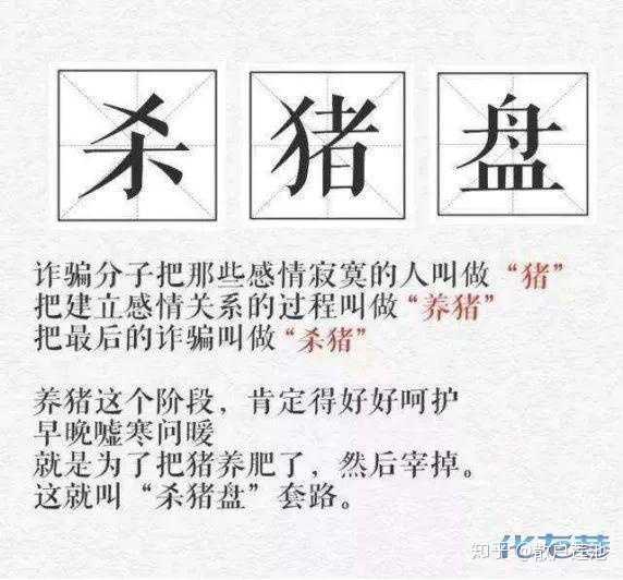 揭秘最新杀猪盘，背景、事件、影响与时代地位探索