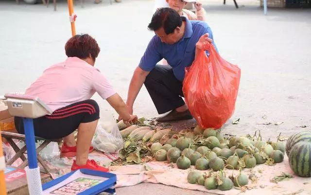 济宁招聘网最新招聘，探索自然美景之旅，寻找内心平和的职场伙伴