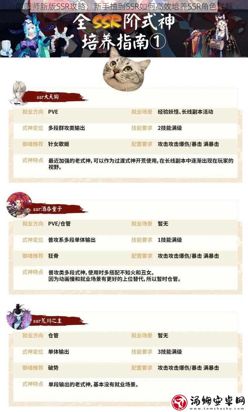 最新ssr,最新SSR，详细步骤指南