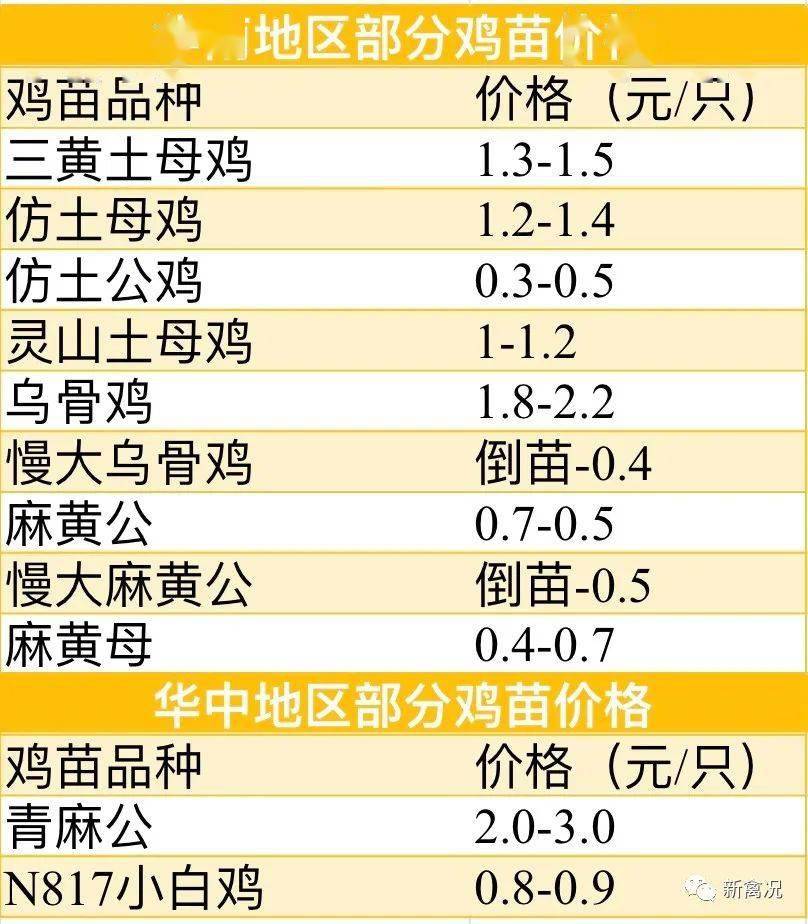 鸡苗最新价格，背景、影响与领域地位分析