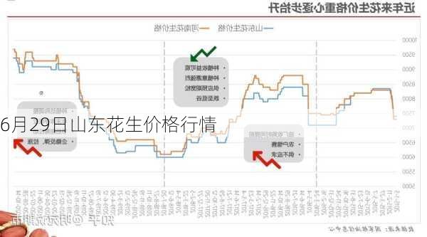花生米最新价格概览，市场走势、影响因素与案例分析