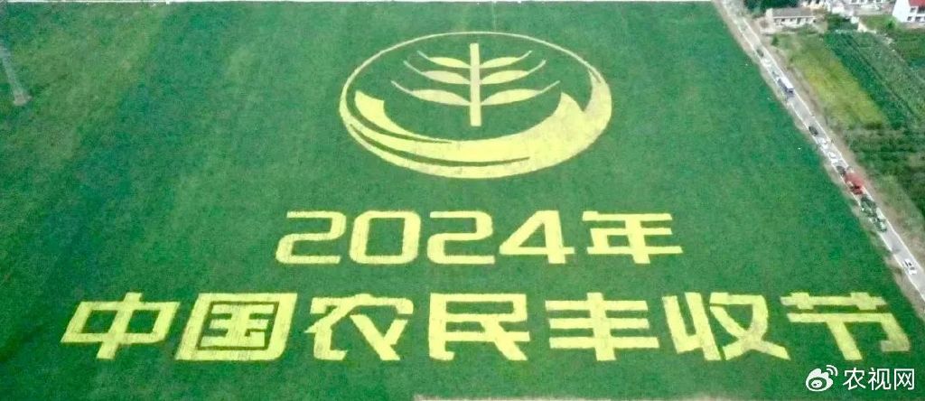 最新农业新闻详解，步骤指南与动态更新